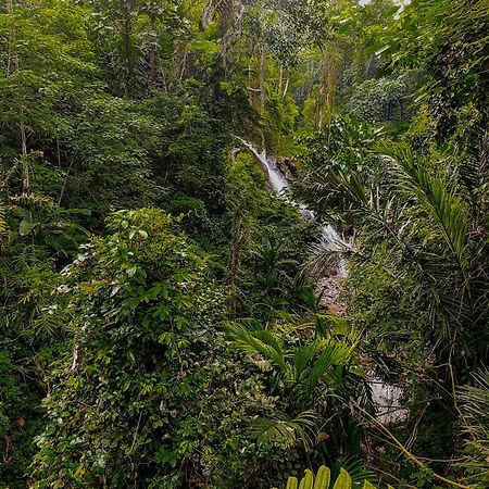 The Sebali Resort Убуд Экстерьер фото A waterfall in the park