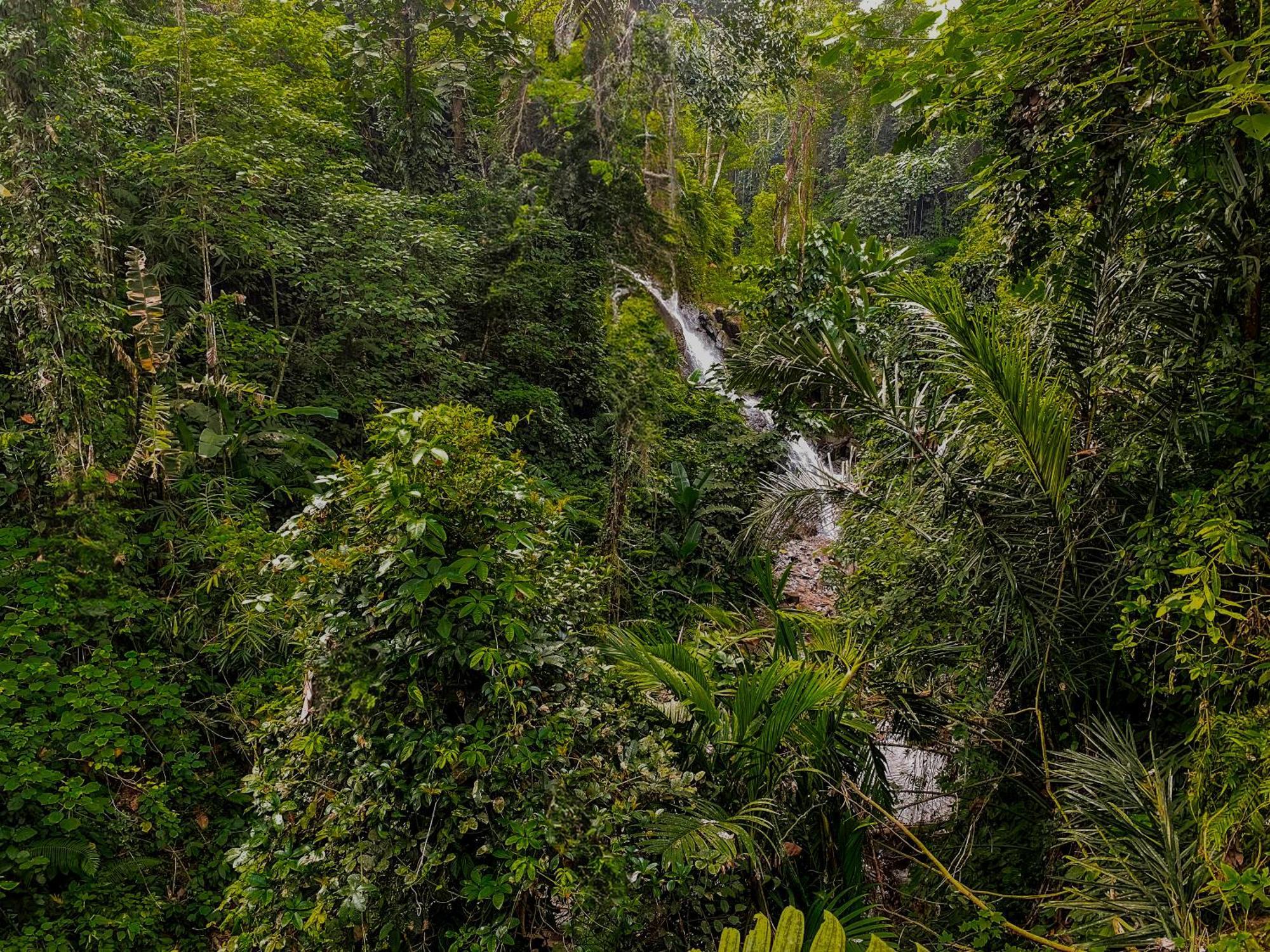 The Sebali Resort Убуд Экстерьер фото A waterfall in the park